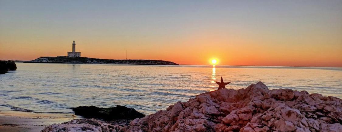 Appartamenti Pina Vieste Exteriör bild